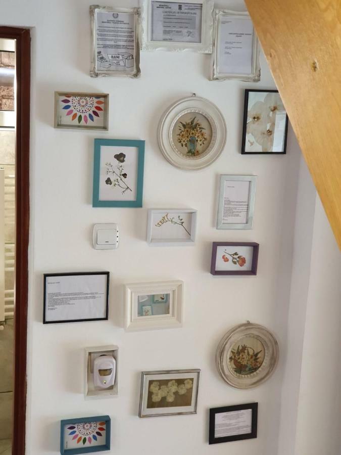 Casa Lucky Hotel Rîşnov Buitenkant foto