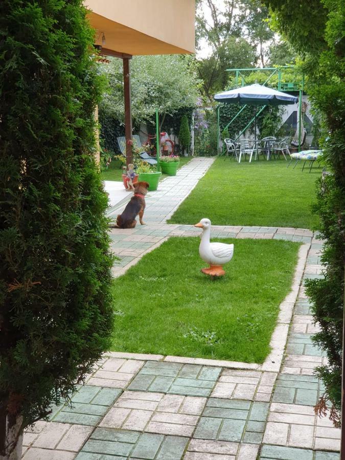 Casa Lucky Hotel Rîşnov Buitenkant foto